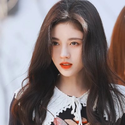 哈吉布基的森林冒险